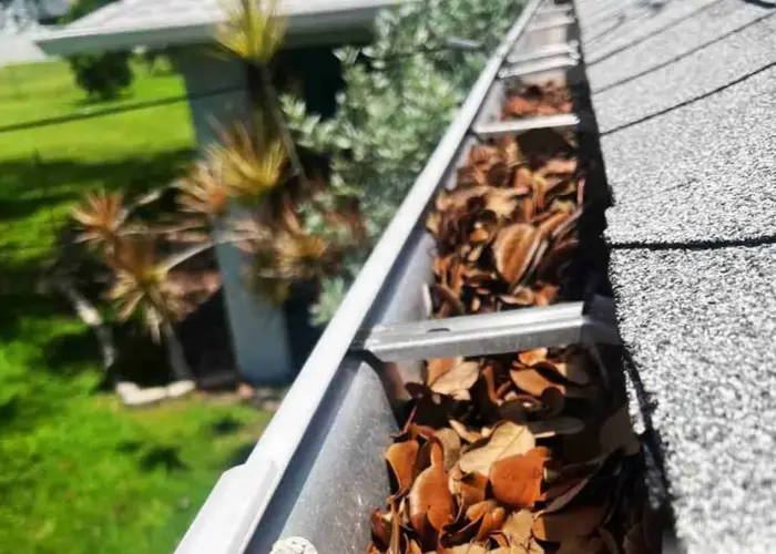 Gutter Cleaning Marion home page